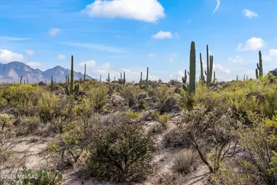 530 E Thunderstorm Place, Oro Valley, AZ 85755 - Photo 17