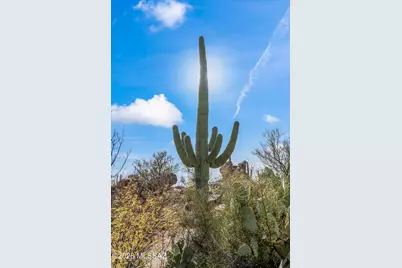 530 E Thunderstorm Place #116, Oro Valley, AZ 85755 - Photo 9