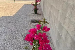 7209 E 30th St, Tucson, AZ 85710 - Photo 45
