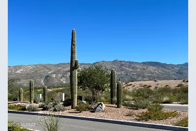 7838 S New Strike Way, Tucson, AZ 85747 - Photo 29