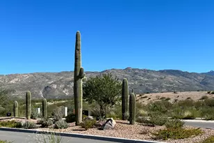 7838 S New Strike Way, Tucson, AZ 85747 - Photo 29