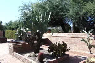 310 S Las Hamacas, Green Valley, AZ 85614 - Photo 9