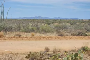 14921 W Pyle Rd, Tucson, AZ 85736 - Photo 5