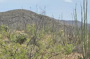 14921 W Pyle Rd, Tucson, AZ 85736 - Photo 3