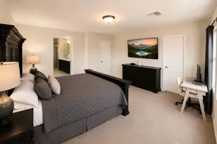 13822 S Camino Acelga, Sahuarita, AZ 85629 - Photo 27