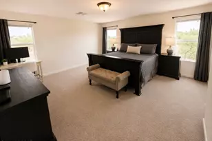 13822 S Camino Acelga, Sahuarita, AZ 85629 - Photo 31
