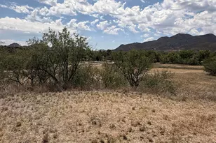 510 N 3rd Ave, Patagonia, AZ 85624 - Photo 21