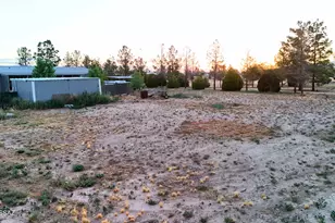 2911 W Willow Tree Ln, Willcox, AZ 85643 - Photo 41