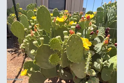 9153 N Central Highway, Mc Neal, AZ 85617 - Photo 11