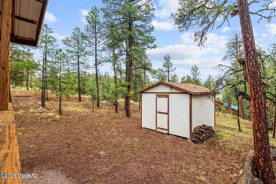 29 County Road 2058, Alpine, AZ 85920 - Photo 19