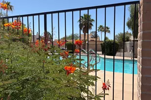 1324 N Honeyrose Ave, Tucson, AZ 85745 - Photo 19