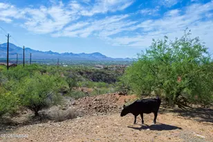 290 Via Mantaraya, Rio Rico, AZ 85648 - Photo 41