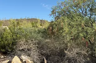 319 N Cameron View Pl, Tucson, AZ 85745 - Photo 45