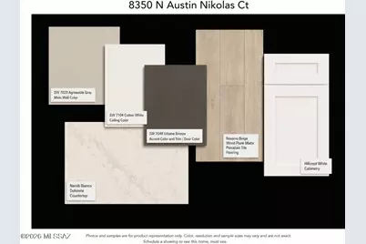 8350 N Austin Nikolas Court, Tucson, AZ 85704 - Photo 3