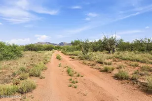 1930 N Red Rock Rd, Dragoon, AZ 85609 - Photo 21