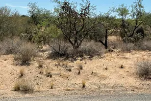 11807 S Cherokee Ln, Tucson, AZ 85736 - Photo 1