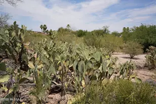 3081 W Corte Madelena, Tucson, AZ 85741 - Photo 17