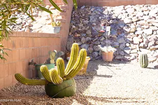 287 N VÃ­a La Castellana, Green Valley, AZ 85614 - Photo 45