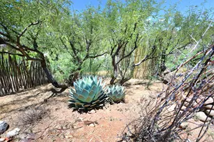 264 Lenon Way, Patagonia, AZ 85624 - Photo 25