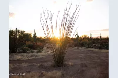 2941 N Sandario Road, Tucson, AZ 85743 - Photo 7