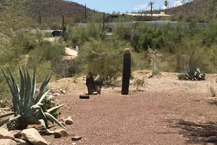 1301 N Painted Hills Rd, Tucson, AZ 85745 - Photo 33