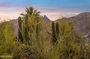 5874 N Camino Esplendora, Tucson, AZ 85718 - Photo 33