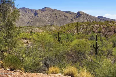 6490 N Tierra De Las Catalinas #91, Tucson, AZ 85718 - Photo 33