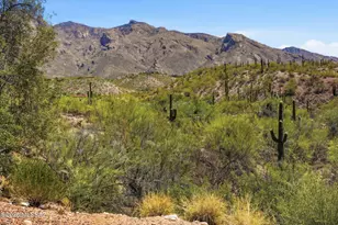 6490 N Tierra De Las Catalinas, Tucson, AZ 85718 - Photo 33