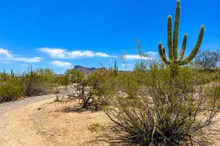 6685 N Spring Wagon Dr, Tucson, AZ 85743 - Photo 7