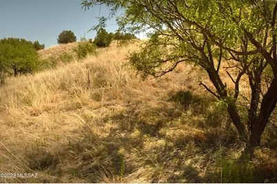 202 Tanglehead Lane #Lot 22, Patagonia, AZ 85624 - Photo 33