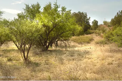 194 Tanglehead Lane #Lot 23, Patagonia, AZ 85624 - Photo 1