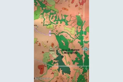 194 Tanglehead Lane #Lot 23, Patagonia, AZ 85624 - Photo 11