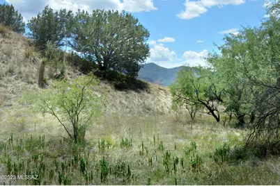 206 Tanglehead Lane #Lot 13, Patagonia, AZ 85624 - Photo 33