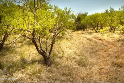 206 Tanglehead Lane #Lot 13, Patagonia, AZ 85624 - Photo 25
