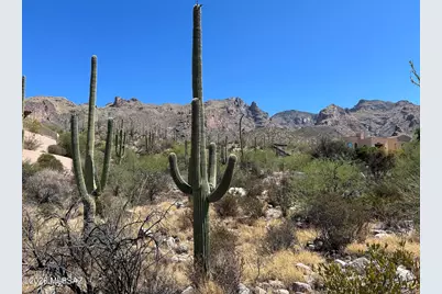 7128 N Mercer Spring Place #151, Tucson, AZ 85718 - Photo 1