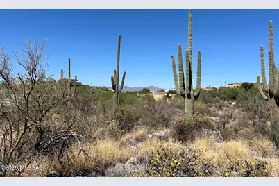 7128 N Mercer Spring Place #151, Tucson, AZ 85718 - Photo 5