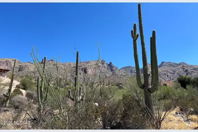 7128 N Mercer Spring Place #151, Tucson, AZ 85718 - Photo 3