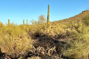 4855 N Buckmeister Way, Marana, AZ 85653 - Photo 21