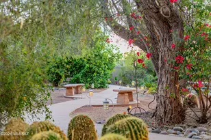 8851 N Loeffler Ln, Tucson, AZ 85742 - Photo 35