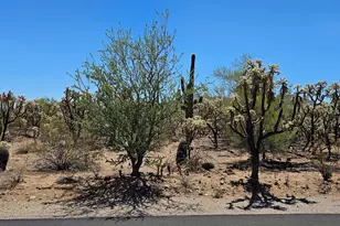 4441 N Sanders Rd, Tucson, AZ 85743 - Photo 39