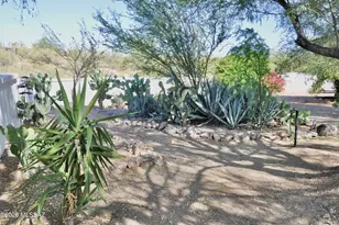 5351 N Camino De Oeste, Tucson, AZ 85745 - Photo 13
