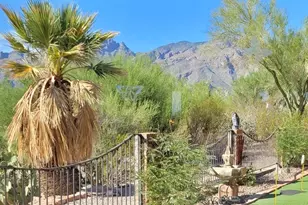 4901 N Camino Arenosa, Tucson, AZ 85718 - Photo 7