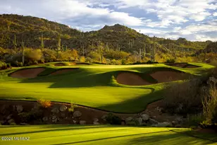14333 N Mickelson Cyn Ct, Oro Valley, AZ 85755 - Photo 49
