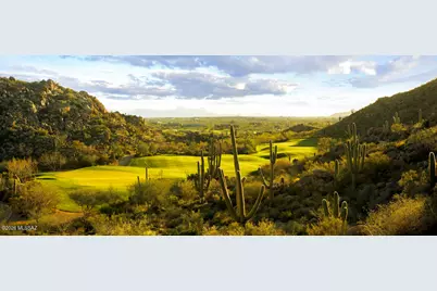 14333 N Mickelson Canyon Court, Oro Valley, AZ 85755 - Photo 45