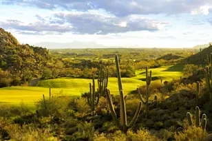 14333 N Mickelson Cyn Ct, Oro Valley, AZ 85755 - Photo 45