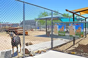3651 E 33rd St, Tucson, AZ 85713 - Photo 35
