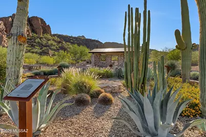 8322 W Spaulding Street, Tucson, AZ 85743 - Photo 39