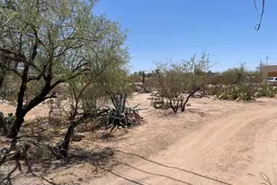 1106 E Halcyon Rd, Tucson, AZ 85719 - Photo 13