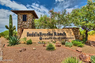 32433 S Desert Pupfish Drive, Oracle, AZ 85623 - Photo 41