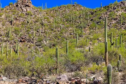 14124 N Tortolita Estates Drive, Tucson, AZ 85755 - Photo 13